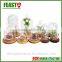 Bell Jar With Wooden Base Clear Glass Dome Stand