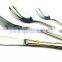 factory direct Qana stainless steel cutlery set with mirror polish for Euro market