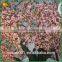 wholesale artificial cherry blossom tree for wedding
