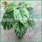home decorations evergreen artificial bonsai plants for sale