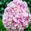 Best Quality Hot Sale Wedding Bouquets Silk Hydrangea Wedding Bouquets From Yunnan