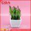 Manufacturers simulation tree plants indoor plants wholesale home decoration