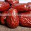 manufacture chinese dried red dates jujube