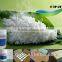 Natural and Safe Food Additives Of Rice