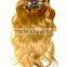 Factory Price Supply Kinky Curly Clip in Hair Extensions
