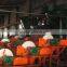 Magnetic drum separator for iron ore mining