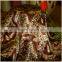 Made in China Imitation Super soft velvet for cushion cover/quality guaranteed