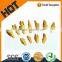 All Different Size Bucket Teeth
