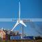 High Efficiency Small Wind Turbine Generator With CE Approval And 3 Years Warranty