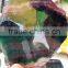 Natural rainbow fluorite crystal slices for sale, crystal fluorite for decoration