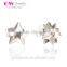 Latest Trends Earrings Diamond Rotatable Star Silver Earring Custom Logo Earrings