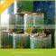 Made In China High Quality Thailand Canned Pineapple in Syrup