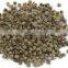 Five Leaved Chaste Tree Powder