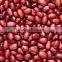 red kidney beans for hot sale and with free sample for sale