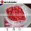 new crop red Frozen raspberry