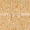 White Hulled Sesame Seeds Exporters