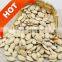 china white pumpkin seeds price