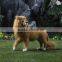 unstuffed big head plush roaring lion toys