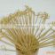 High Quality 120mm Decorative Cocktail Party Food Knotted Bamboo Skewer