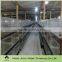 battery broiler cage with automatic water and feeding system