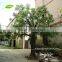 GNW BTR055 Best selling large green tree home decoration