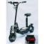 Sell 300W-1200W EVO scooter