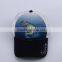 Hot Sale Custom Logo Printing Embroidery Cap