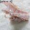 Elegant lady small pearls design cellulose acetate hair claw clips