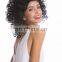 Party humid curly short black wigs P-W249