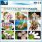 Factory supply lowest price mini meatball making machine for sale