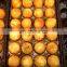 commercial takoyaki machine / takoyaki plate / fish grill
