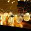 20 LED Pineapple LED String light Romantic holiday night light