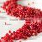 Fine grade Pomegranate dried seeds exporters