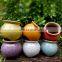 2017 small colorful ceramic flower box succulent plant pots