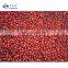 Sinocharm 2021 IQF Frozen Lingonberry with BRC A Approved