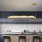 Modern Art LED Chandelier Indoor Home LED Pendant Light For Home Hotel Decor Long Hanging Lamp