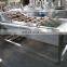 SS304 Automatic Fruit And Vegetable Processing Line And Tomato Washing Sorting Line