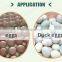 Big capacity stainless steel egg sorter egg grading machine