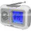 PLL Dual Alarm Clock Radio with Temperature