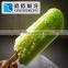 PBZ 04 Amazing Delicious Ice Cream Popsicle Machine for Sale