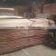 0.5mm Rotary cut Beech veneer