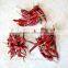 india dry red chilli