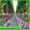 black anti root mulch,PE plastic weed control film,0.6 micron ground cover moisture control mulch
