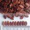 Chinese red hybrid melon seeds