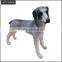 display dog mannequin animal manikin for sale