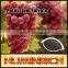 Huminrich Shenyang 60HA+15FA+12Potash Humic Acid Foliar Spray Fertilizer