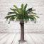Artificial Cycas Tree