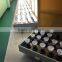 China AC220V High Bright Economical LED Globe Light Bulbs