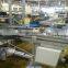 Auto assembly line flexlink conveyor system