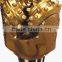 New Field high efficiency tricone bits